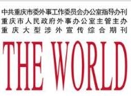 重庆与世界网站